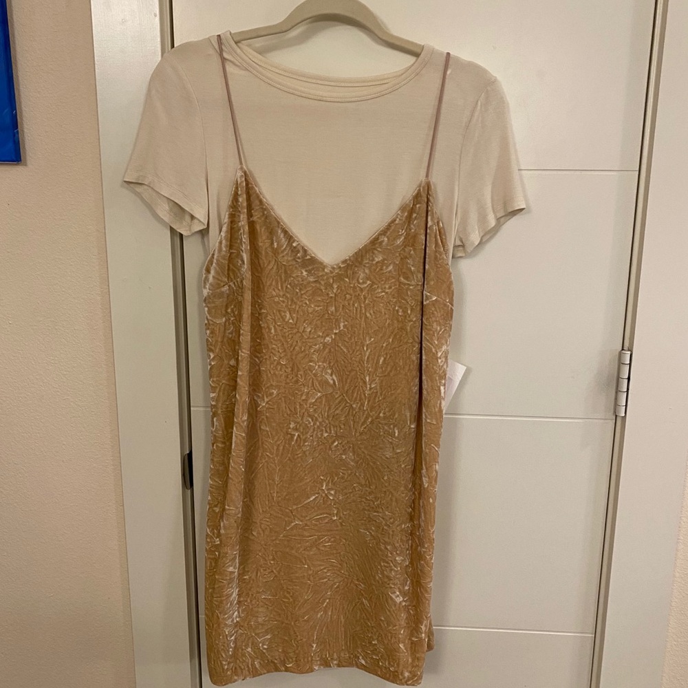 Kensie Velvet Dress